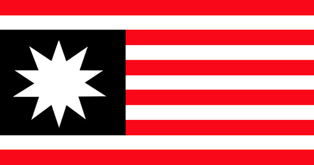 Flag_of_The_United_Americas.jpg